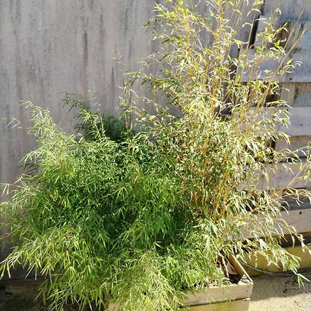 아파트 Chez Cristele Et David *