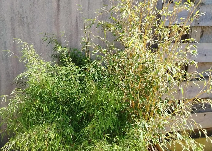 Lejlighed Chez Cristele Et David *